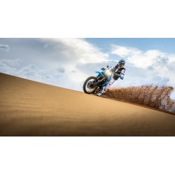 2025 YAMAHA TÉNÉRÉ 700 RALLY