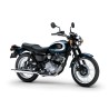 2025 KAWASAKI W 230