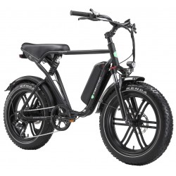 E-Bike Fat Tire California 250 W 20 Zoll