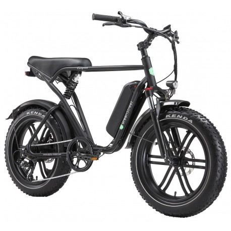 E-Bike Fat Tire California 250 W 20 Zoll