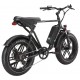 E-Bike Fat Tire California 250 W 20 Zoll