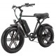 E-Bike Fat Tire California 250 W 20 Zoll