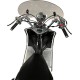 Alpha Motors Motorroller »Firenze Limited«, 50 ccm, 45 km/h, Euro 5
